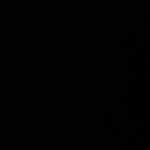 Meet your Posher, Brynley